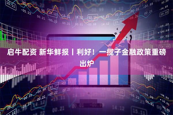 启牛配资 新华鲜报丨利好！一揽子金融政策重磅出炉