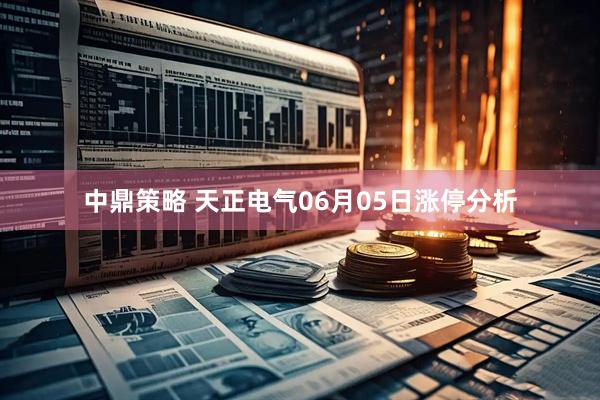 中鼎策略 天正电气06月05日涨停分析