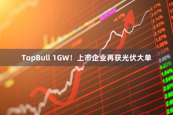 TopBull 1GW！上市企业再获光伏大单
