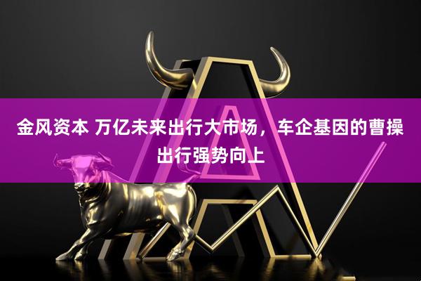 金风资本 万亿未来出行大市场，车企基因的曹操出行强势向上