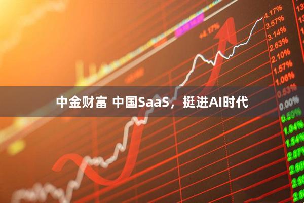 中金财富 中国SaaS，挺进AI时代