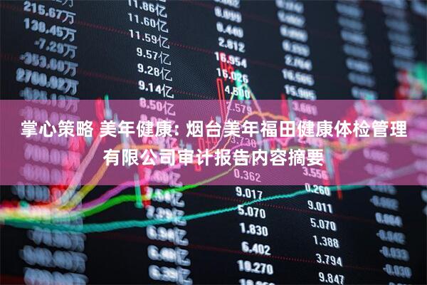 掌心策略 美年健康: 烟台美年福田健康体检管理有限公司审计报告内容摘要