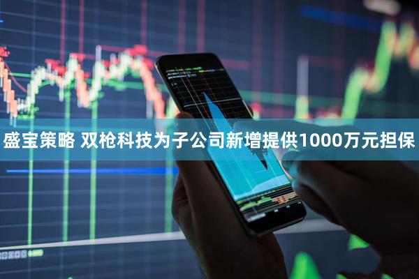 盛宝策略 双枪科技为子公司新增提供1000万元担保