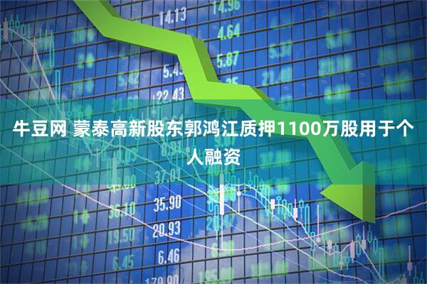 牛豆网 蒙泰高新股东郭鸿江质押1100万股用于个人融资