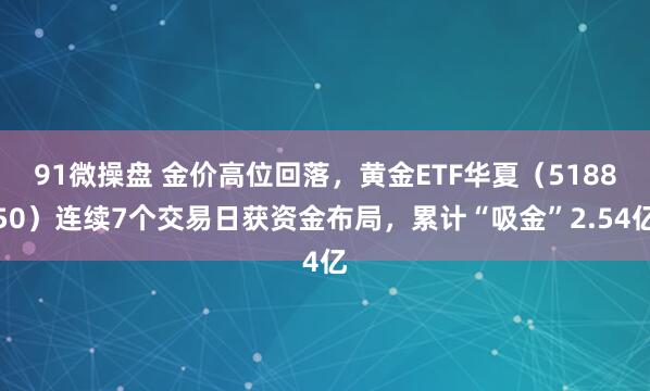 91微操盘 金价高位回落，黄金ETF华夏（518850）连续7个交易日获资金布局，累计“吸金”2.54亿
